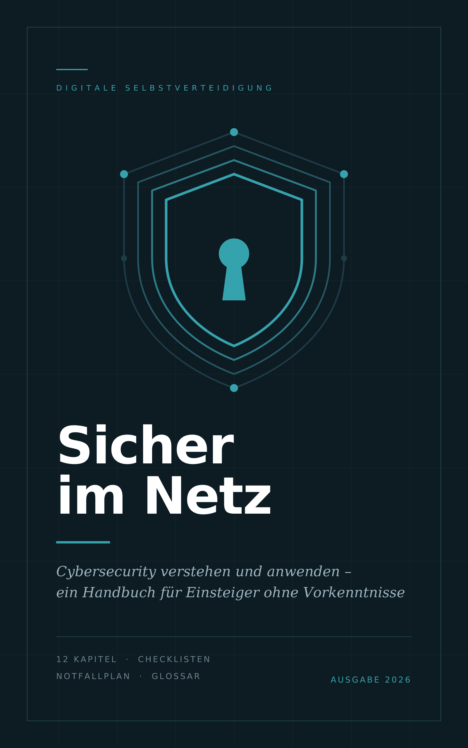 Cover von «Sicher im Netz»: ein stilisiertes Schild mit Schlüsselloch in Petrol auf dunkelblauem Grund, darunter der Titel und der Untertitel.